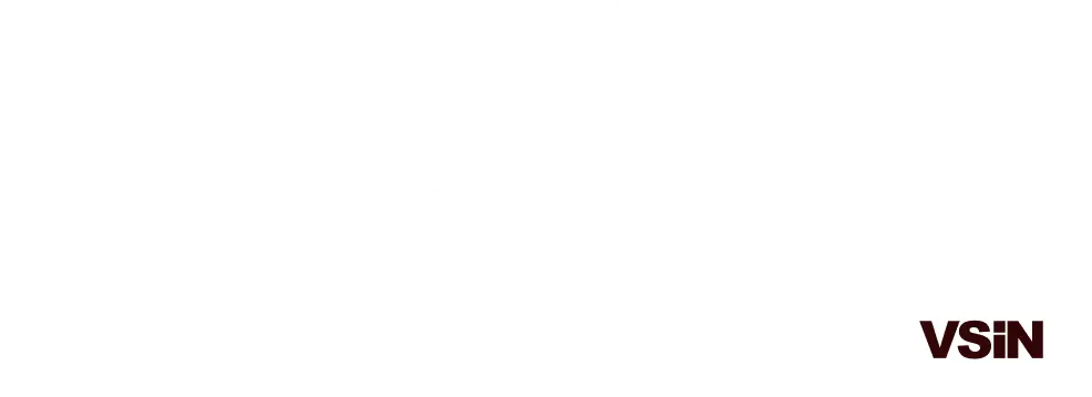 Our customers include Covers.com, Hearst Media, IC360, Raketech, SB Nation, Sporting News, USA Today, and VSiN
